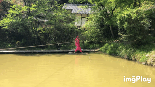 忍術村 水蜘蛛
