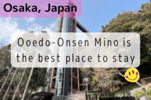 Ooedo Onsen Mino Kanko hotel
